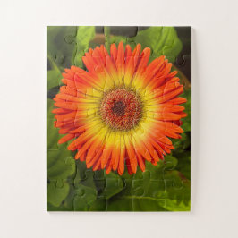 Sunburst Gerbera | Alzheimer’s Tribute Pussel