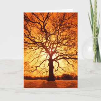 Sunburst Kort