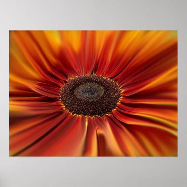 Sunburst Poster (Framsidan)