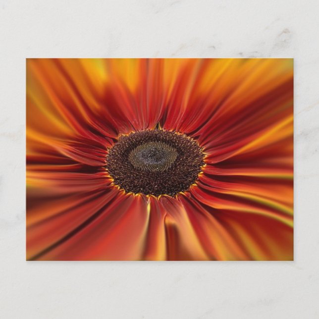 Sunburst Vykort (Framsida)