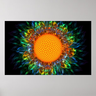 Sunburstdaisy Poster