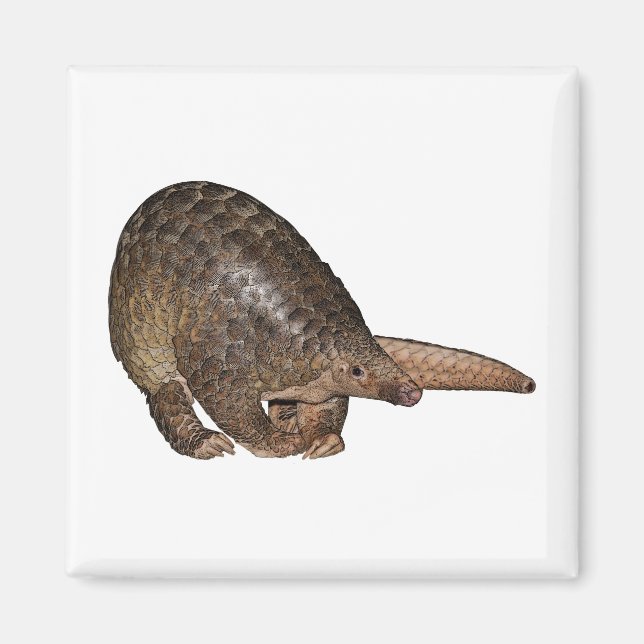 Sunda Pangolin Magnet (Framsidan)
