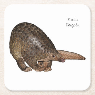 Sunda Pangolinunderlägg Underlägg Papper Kvadrat