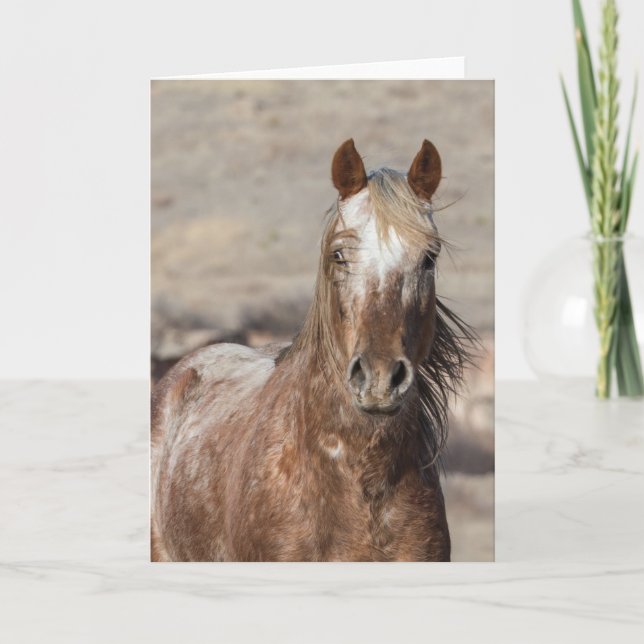 Sundance - Galloping to Freedom Greeting Card Kort (Framsida)