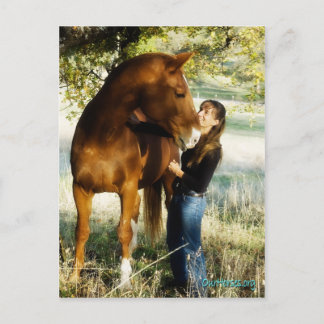 Sundance Stormy-vykort Vykort