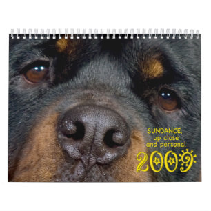 Sundance:  Upp nära och personligt Kalender