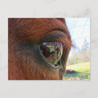 Sundance World vycard Vykort