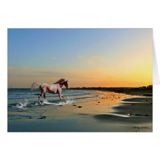 Sunderland - Seaburn strand Hälsningskort