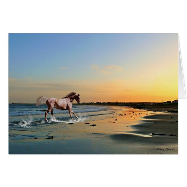 Sunderland - Seaburn strand Hälsningskort (Framsidan Horizontal)