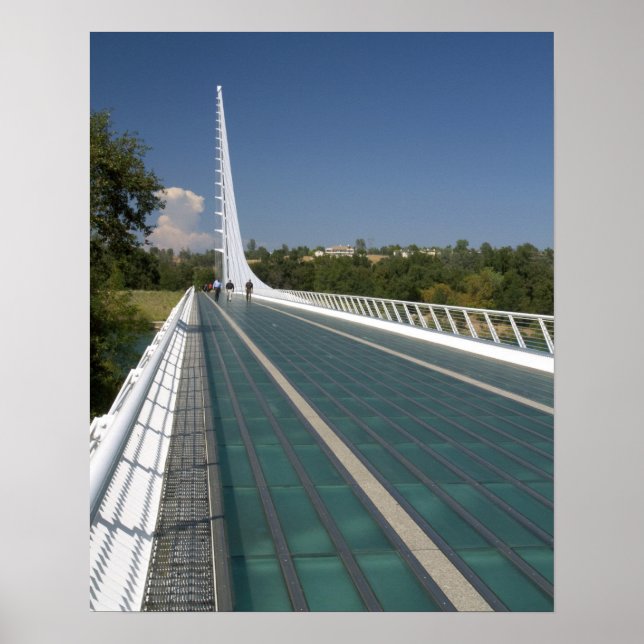 Sundial Bridge på Turtle Bay Poster (Framsidan)