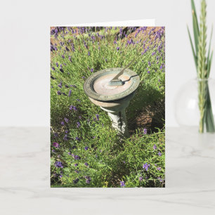 Sundial i Lavender Kort
