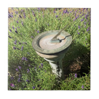 Sundial in Lavender