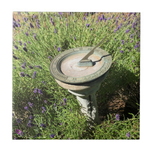 Sundial in Lavender Kakelplatta