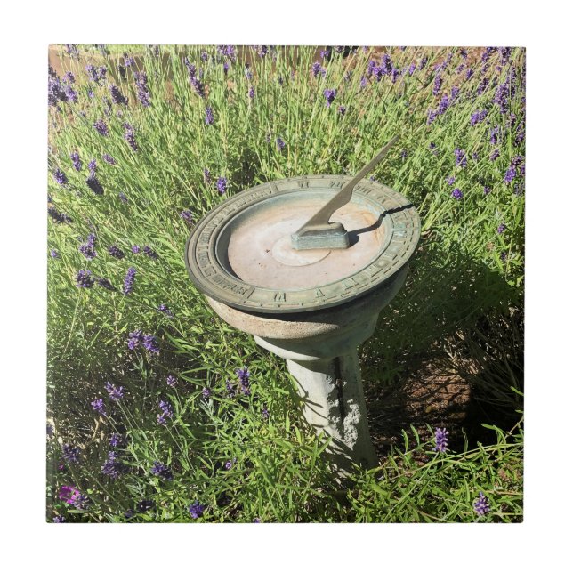 Sundial in Lavender Kakelplatta (Framsidan)