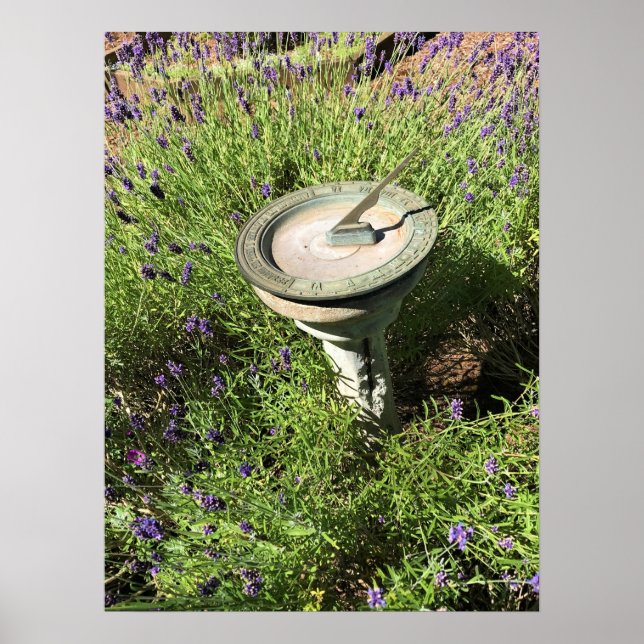 Sundial in Lavender Poster (Framsidan)