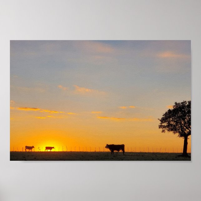 Sundown Silhouette Poster (Framsidan)