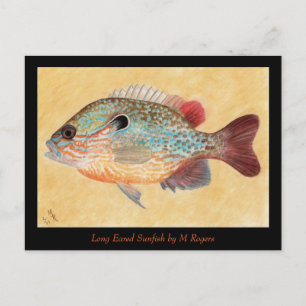 Sunfish Art Card Vykort