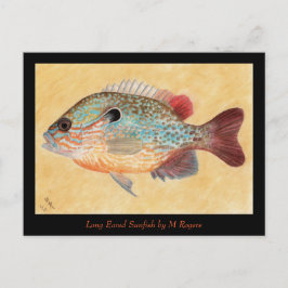 Sunfish Art Card Vykort