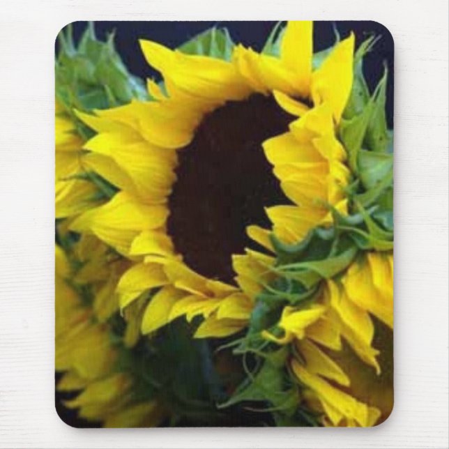 Sunfllower studie vid debbieophotography musmatta (Framsidan)