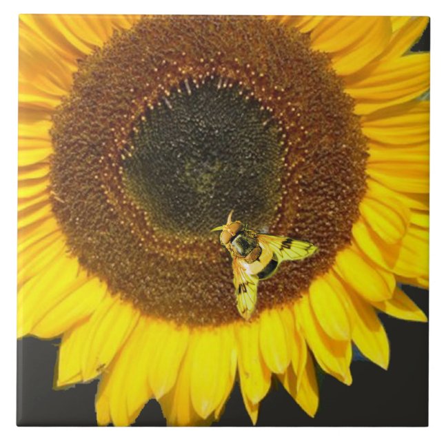 SUNFLOWER AND HONEY BEE ,BEEKEEPING, BEEKEPER KAKELPLATTA (Framsidan)