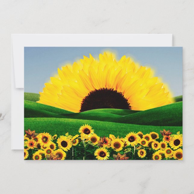 SUNFLOWER BACKE INBJUDNINGAR (Framsida)