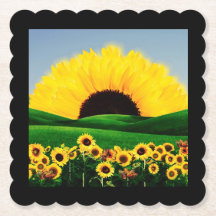 SUNFLOWER BACKE