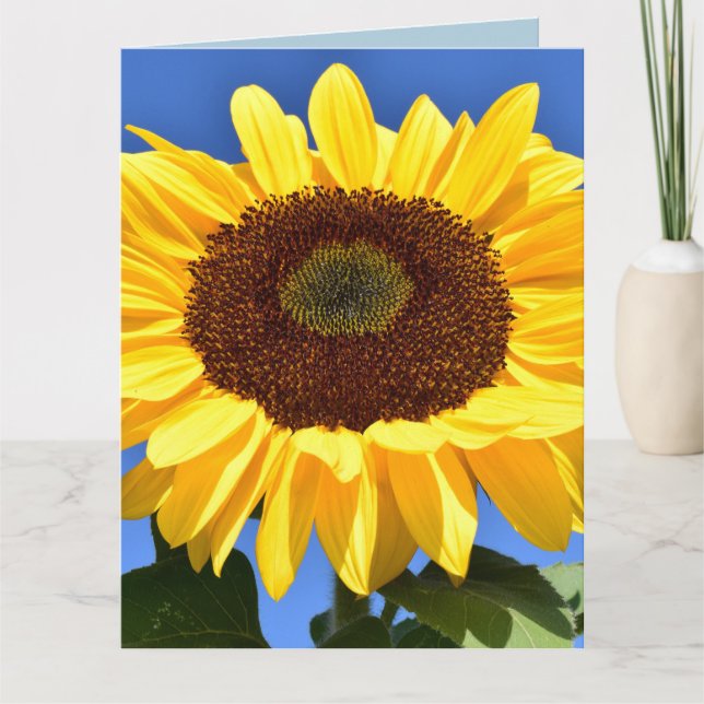 SUNFLOWER BIRTHDAY Greeting Card Kort (Framsida)