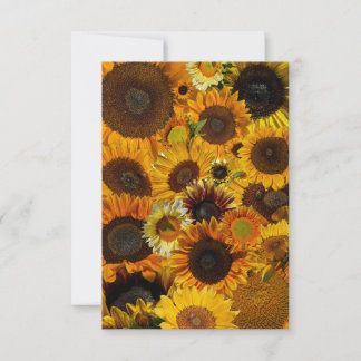 Sunflower Collage  Anteckningskort