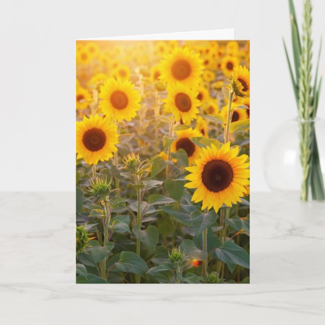 SUNFLOWER FÄLT SYMPATHY CARD KORT (Framsida)