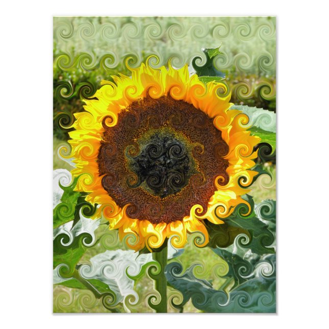 SUNFLOWER FOTOTRYCK (Framsidan)