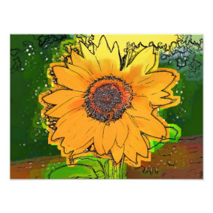 SUNFLOWER FOTOTRYCK