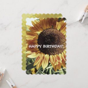 SUNFLOWER Grattis på födelsedagen! Två sidokort Kort