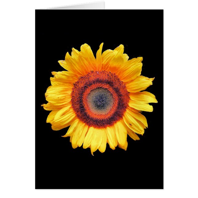 SUNFLOWER GREETING CARD HÄLSNINGSKORT (Framsidan)