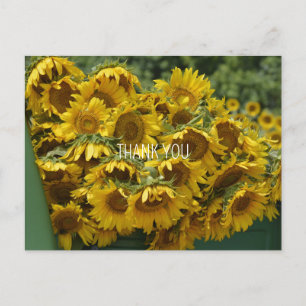 SUNFLOWER LASTBIL VYKORT