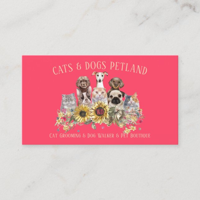 Sunflower Neon Rosa Hundpromenad Katt Groomer Husd Visitkort (Framsida)