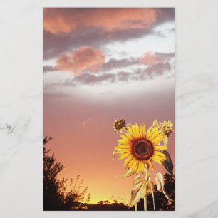 SUNFLOWER OCH ROSA SOMMER SUNSET BREVPAPPER