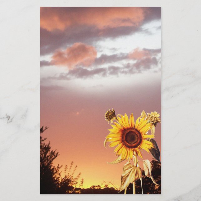 SUNFLOWER OCH ROSA SOMMER SUNSET BREVPAPPER (Framsida)