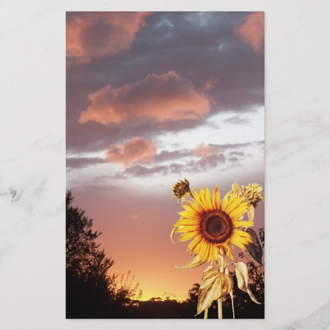 SUNFLOWER OCH ROSA SOMMER SUNSET BREVPAPPER (Framsida)
