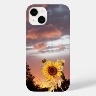 SUNFLOWER OCH SOMMER SUNSET