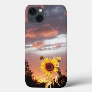 SUNFLOWER OCH SOMMER SUNSET