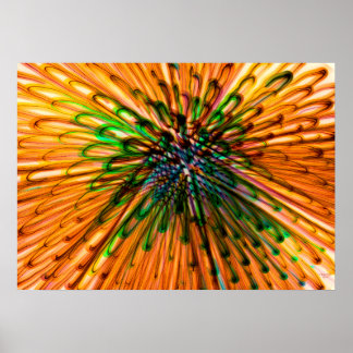 Sunflower Organe Poster