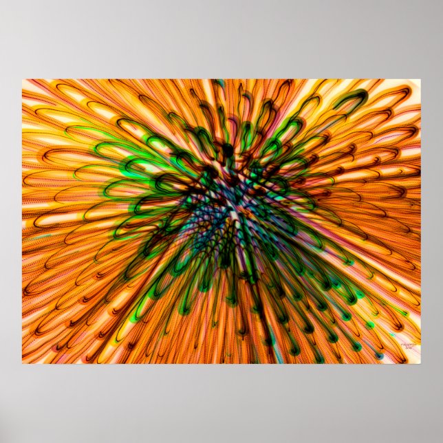 Sunflower Organe Poster (Framsidan)