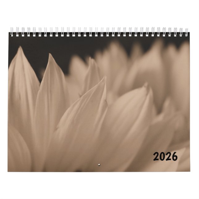 Sunflower Petals in Sepia Tone  Kalender (Omslag)