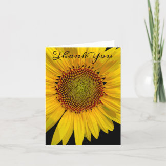 SUNFLOWER PHOTO TACK DIG CARD