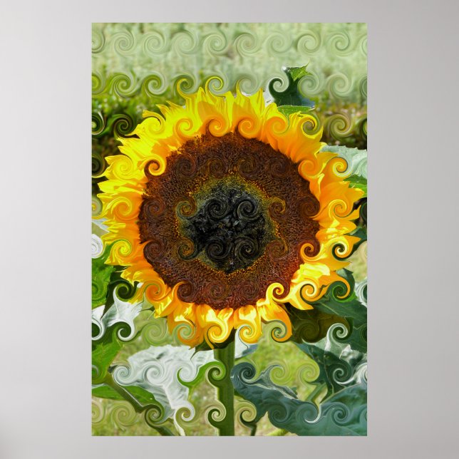 SUNFLOWER POSTER (Framsidan)