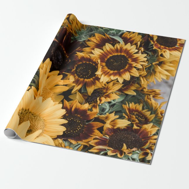 SUNFLOWER PRESENTPAPPER (Utrullad)