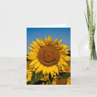 Sunflower Smile Kort