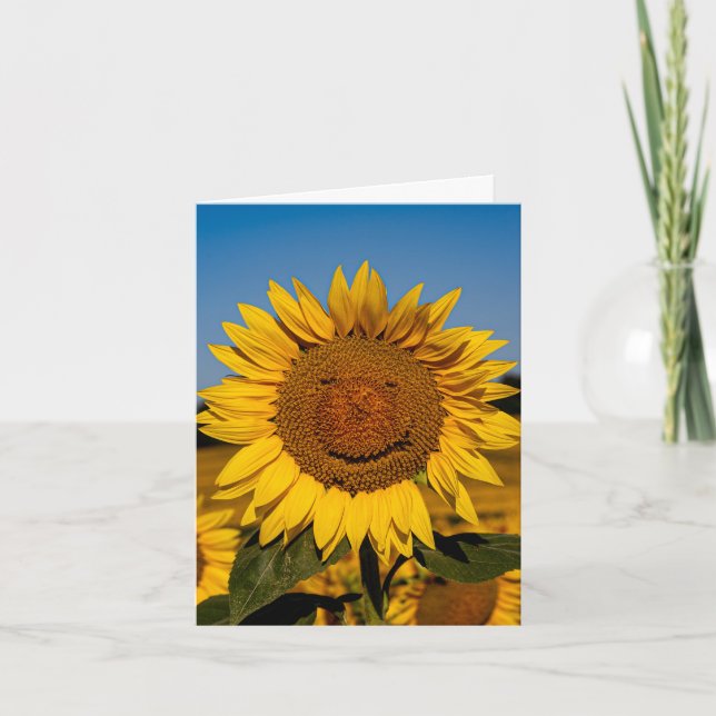 Sunflower Smile Kort (Framsida)