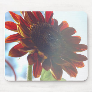 SunFlower-sommaren Musmatta