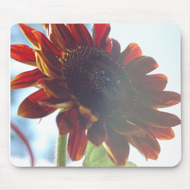 SunFlower-sommaren Musmatta (Framsidan)